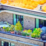 Atico con plantas