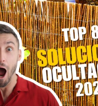 Top 8 mejores productos de ocultación de 2025