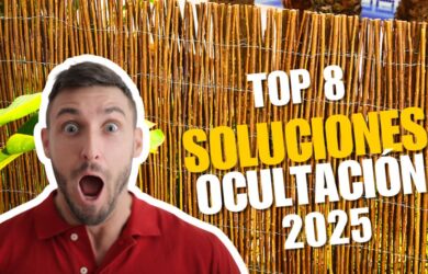 Top 8 mejores productos de ocultación de 2025