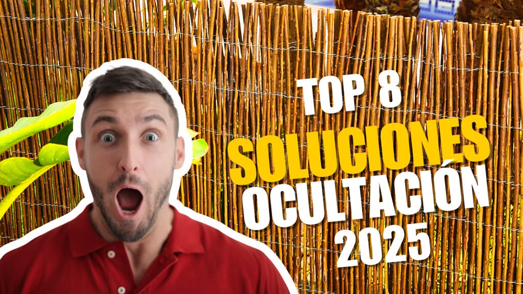 Top 8 mejores productos de ocultación de 2025